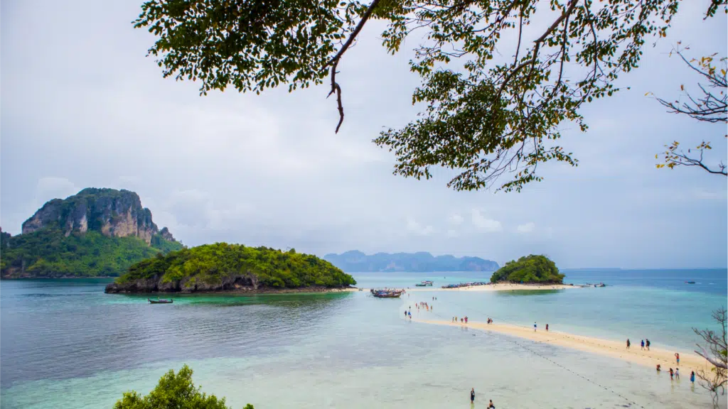 ทะเลแหวก