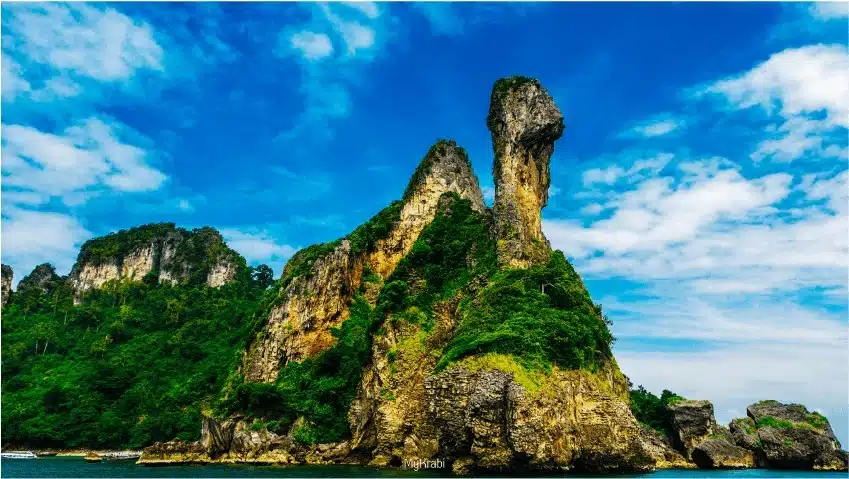 ดำน้ำชมปะการังเกาะไก่ จังหวัดกระบี่