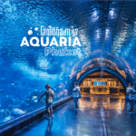 12 ร้านอาหารพื้นเมือง กระบี่ พาอร่อยกับรสชาติดั้งเดิม เข้มข้น จัดจ้าน หรอยคาดแท้!